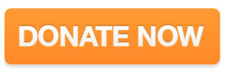 donate now